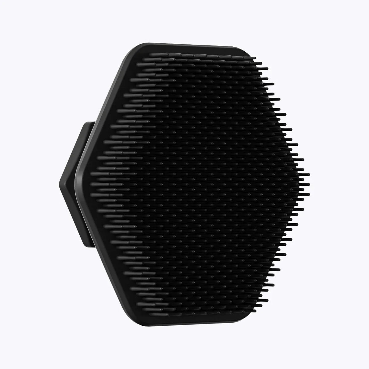 Brosse visage